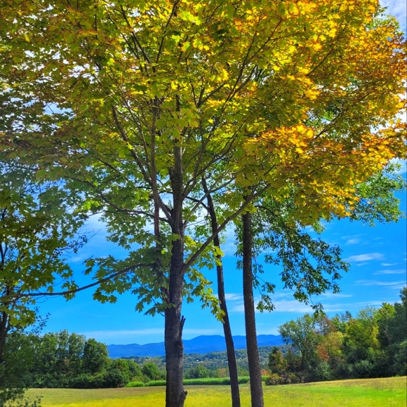 Meet your Posher, Krysta - Picture 1 of 1